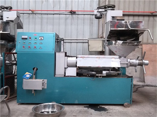 savaliya industries use cold press oil extraction machine
