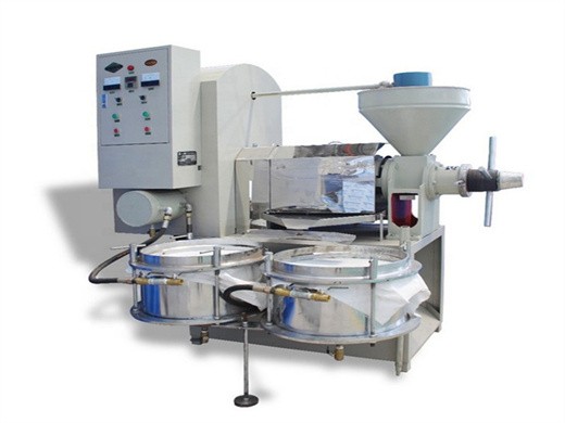 small single screw oil press machine at factory price for sales