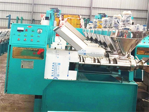 soybean oil mill plant