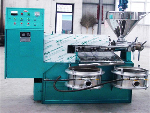 peanutoi pumpkin seeds oil press machine in lesotho