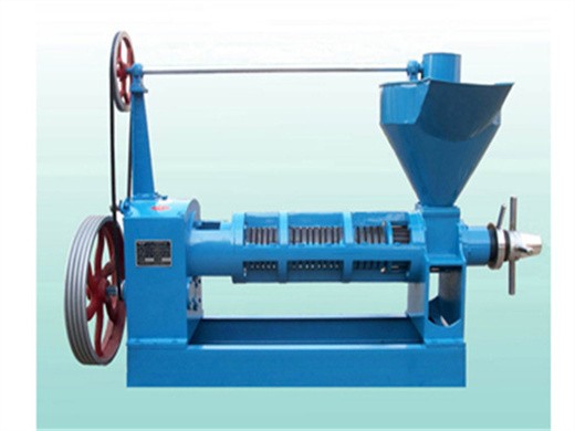 screw automatic black seed oil cold press machine