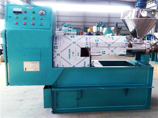 black seed peanut oil press machine grain in zimbabwe