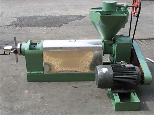 big capacity cold screw oil press in south africa