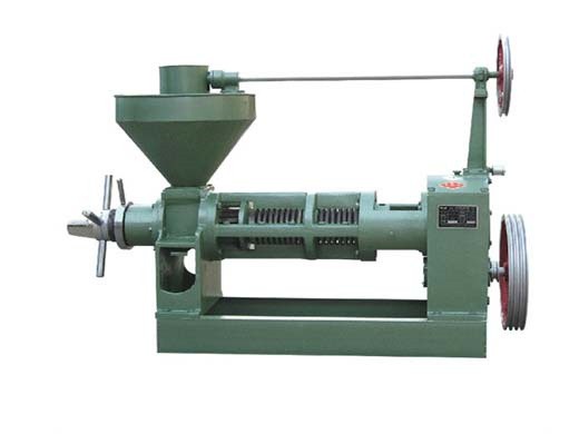 supplier screw groundnut crude oil machine in lesotho