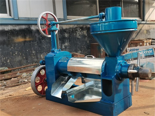 soybean large capacity prepress oil press machine in south africa