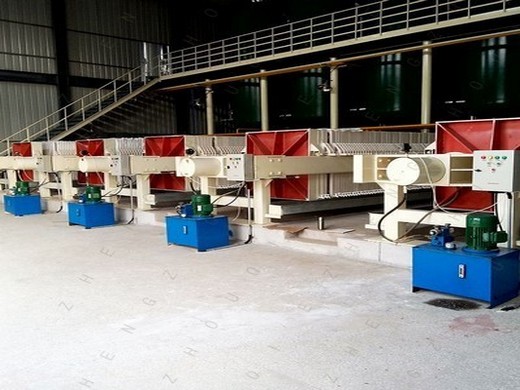 peanut oil l extarction machine in lesotho