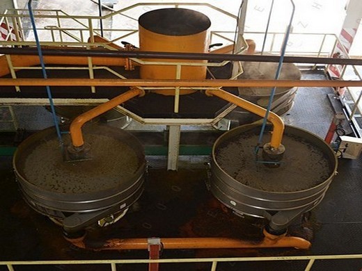 things your should know before buy rice bran oil machines