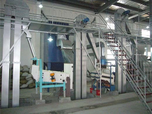 peanut oil press machine - automatic south africa