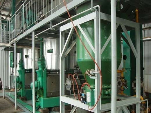 oil press machine, 610w cold & hot press automatic electric