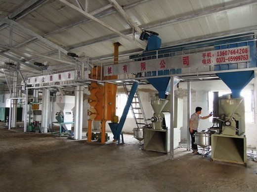 rice bran oil - manufacturing plant, detailed project report
