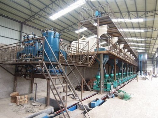 avocado oil press in tanzania – simec oil press