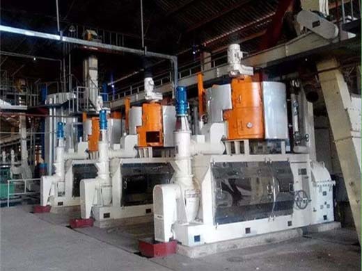 complete peanut oil extraction machine in zimbabwe