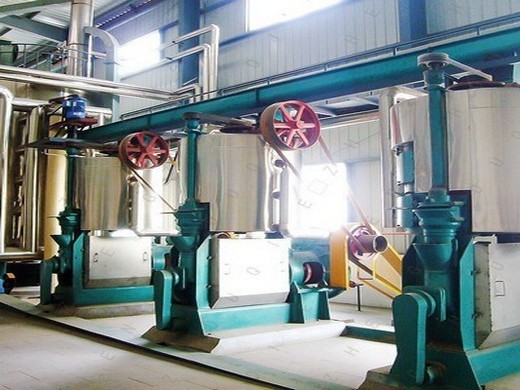 efficient soybean cold press screw oil processing machine