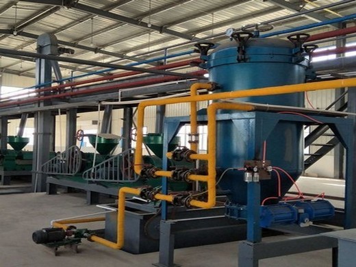 large capacity oil press soybean sunflower coconut oil pressers