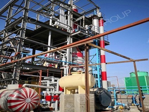 professional soybean oil processing machine manufacturer