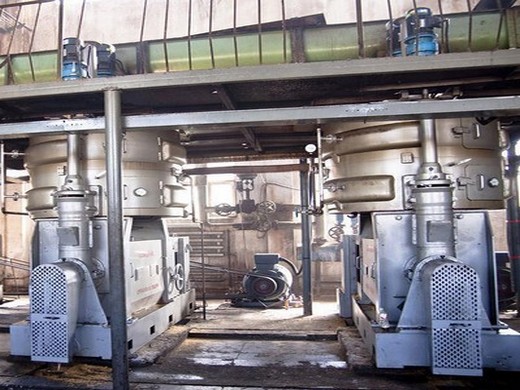 soybean seeds cold-pressed oil extraction machine in indonesia