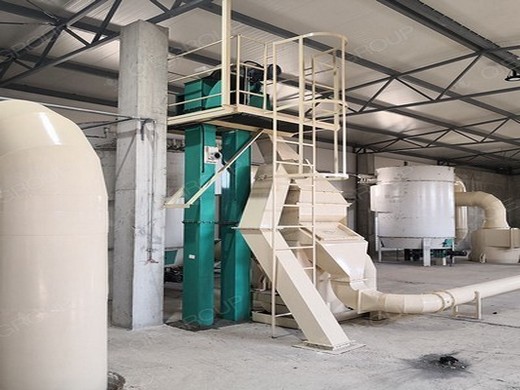 screw cold oil press machine for indonesia