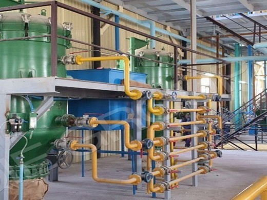 hydraulic cold press oil machine - gondor machinery