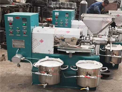 rice bran oil manufacturing process
