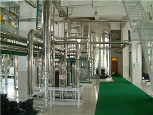 cold oil press machine | hydraulic oil press