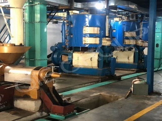 oil press machine oil extractor commercial