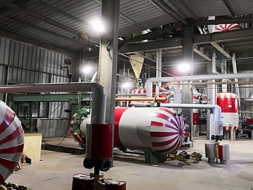 groundnut oil production process: from farm to bottle