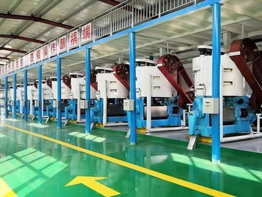 hot soybean oil production line machine in rwanda