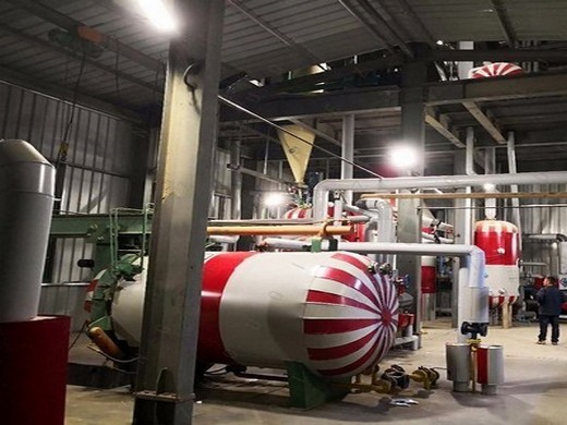soybean oil production line oil crops seed oil expeller in rwanda