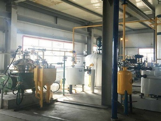 full automatic peanut screw oil press machine/ oil expeller
