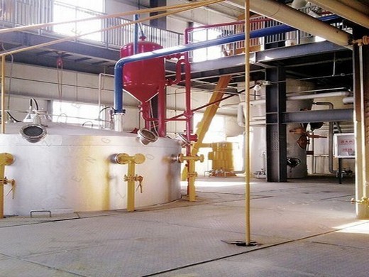 how to choose soybean oil in the philippines: a complete