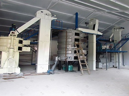 kenya macadamia oil exporters & suppliers - good market prices