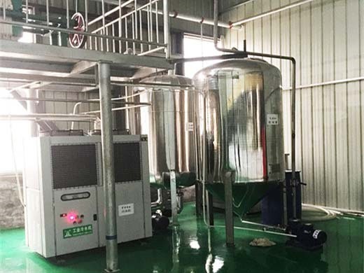 almond shelling machine manufacturers, suppliers and exporters in kenya