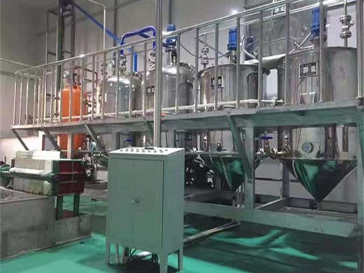 professional oil press – china's leading