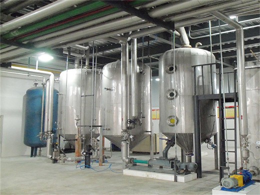 top 10 soybean processing machines for your plant in 2025