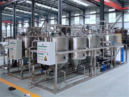 automatic cold oil press machine
