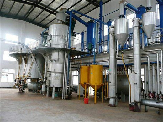 vegetable oil refining plant manufacturer in south africa | strong