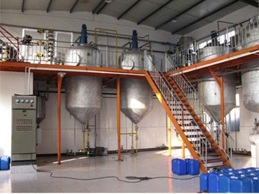 black seed oil cold pressed machine for & business