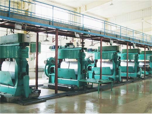 soybean seeds wholesale suppliers, manufacturers