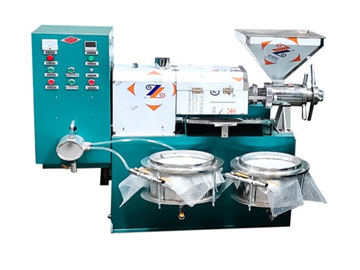 peanut cooking oil oil making machine in tanzania