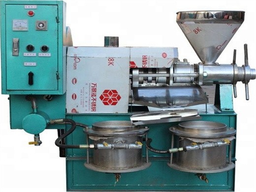 rice mill construction cost in india 2026: peb shed, machinery