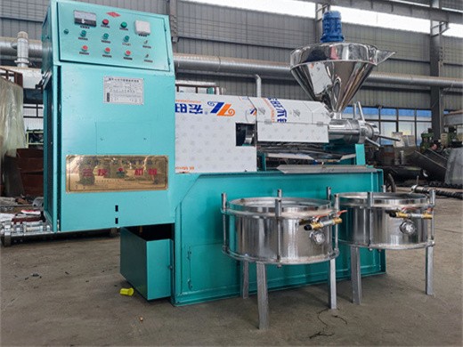 automatic soybean pumpkin oil seed rape press in lesotho