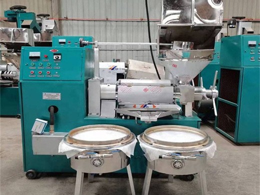 soybean oil mill project with filter in rwanda