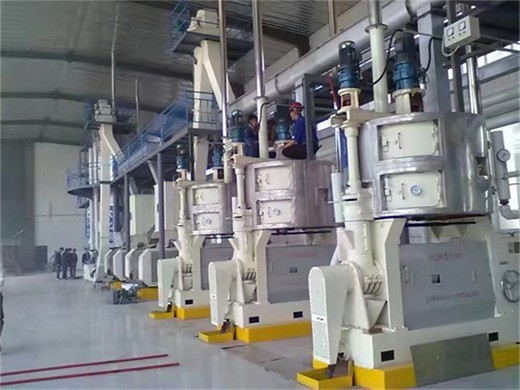 china cold pressed coconut oil machine, cold pressed coconut oil