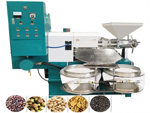 soybean oil machine solutions for efficient processing plants